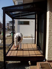 サンフィールII デッキ張り中